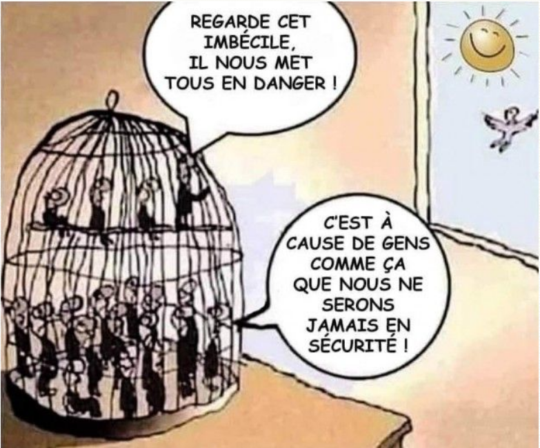 HUMOUR et divers